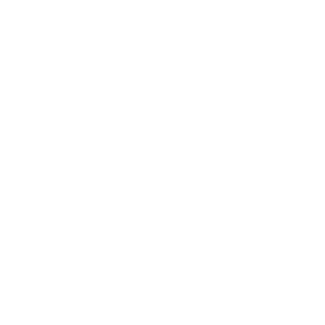 Mr Chocolate Lab Logosu